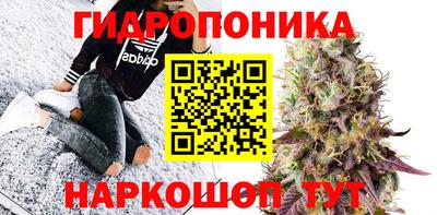 шишки Туймазы